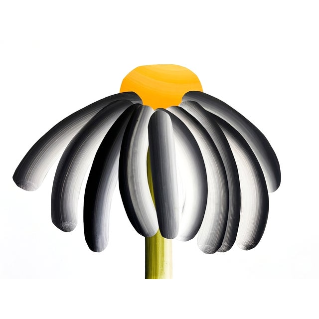 This striking original work offers a contemporary, sculptural reimagining of the classic daisy. Eschewing traditional flat...