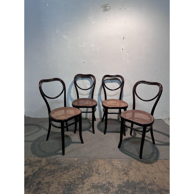 Mondus Chairs from Thonet, Set of 4 For Sale - Image 6 of 7
