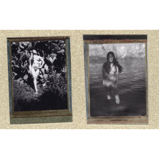 Renée jacobs (born in 1962) a. Nude in foliage (top left) b. Woman in water (top right) c. Seated nude (bottom right) d....