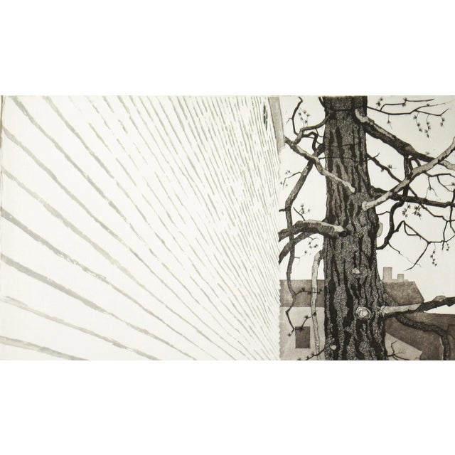 Tessa Beaver, New England Tamarack, Circa 1980 For Sale - Image 4 of 10