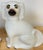 Glass Large Pair Victorian Staffordshire Spaniel Dogs with Amber Glass Eyes, 1860s For Sale - Image 7 of 14