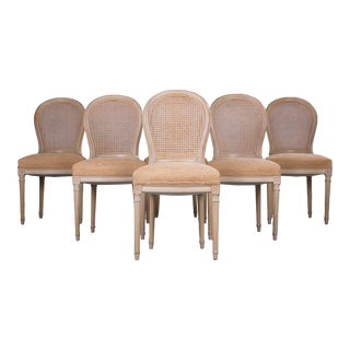 French Louis XVI Style Painted Cane Back Dining Chairs W/ Apricot Chenille - Set of 6 For Sale