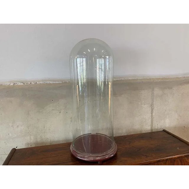 Big Glass Cover, 1900s For Sale - Image 4 of 13