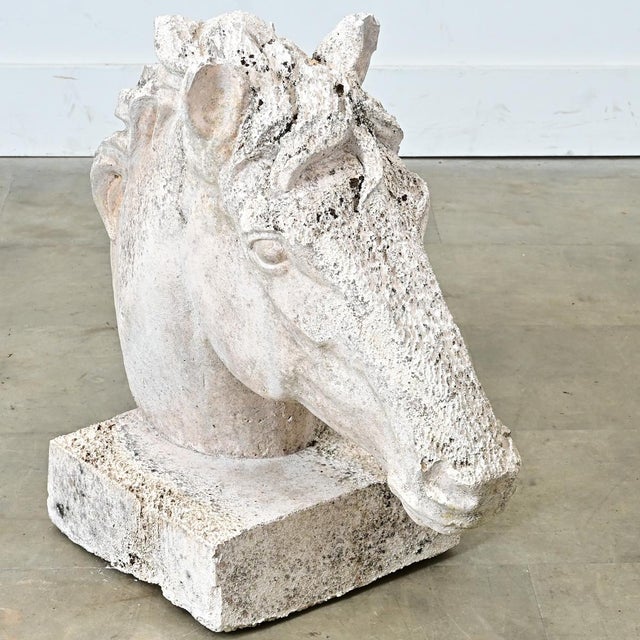 Traditional Early 20th Century English Equestrian Bust of a Horse's Head For Sale - Image 3 of 10