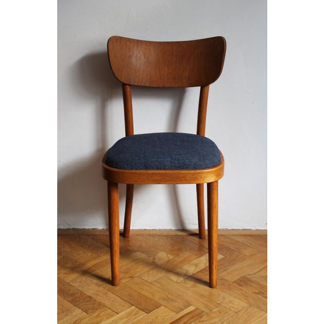 Mid-Century Modern Czech Beech Dining Chair by Up Rousínov from Up Závody, 1960s For Sale - Image 3 of 17