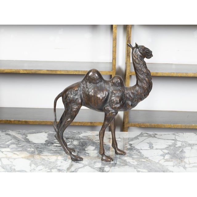 Metal French Turn of the Century Cast Bronze Camel Statuette with Dark Patina, 1900s For Sale - Image 7 of 10