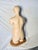 White Denoyer Geppert Human Body Torso Anatomical Model 36 For Sale - Image 8 of 12