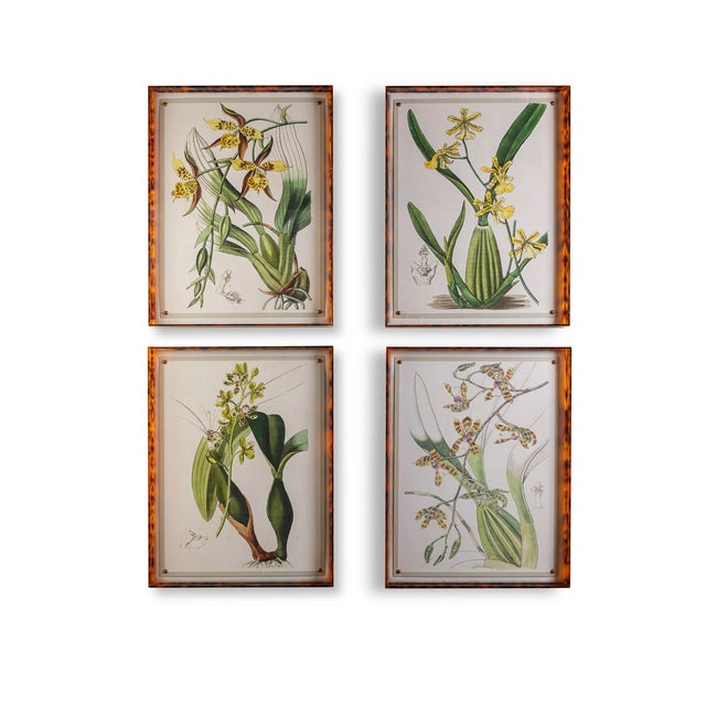 2020s Spring Orchid II Giclee in Tortoise Frame For Sale - Image 5 of 10