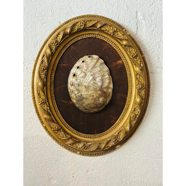 Coastal Antique Shell Art For Sale - Image 3 of 7