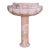 Shell Pedestal For Sale