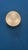 Sigma Wall Lamps by Sergio Mazza for Artemide, 1960s, Set of 2 For Sale - Image 10 of 11