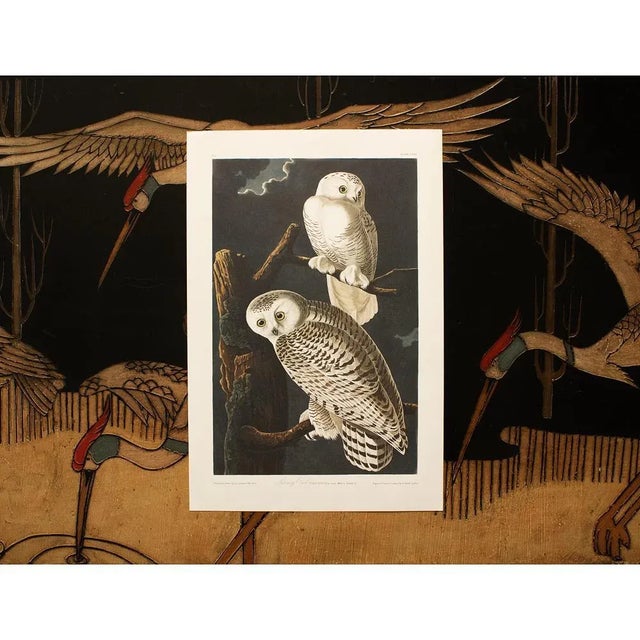 1990s Snowy Owls After Audubon, Large Cottage Style Print For Sale - Image 9 of 10