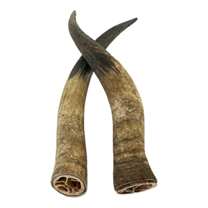 1960s Primitive Longhorn Bull Horns Southwest D√©cor - Set of 2
