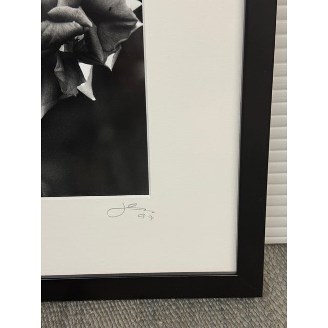 Jess Johnston Dozen Roses XI Black & White Photograph Edition 1/10, Framed. For Sale - Image 9 of 12