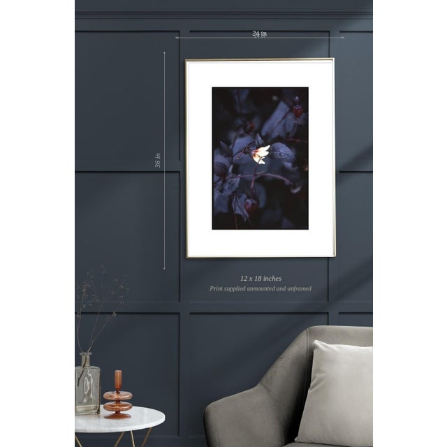 Not Yet Made - Made To Order Paul Cooklin, Aquilegan, Edition of 50 For Sale - Image 5 of 7