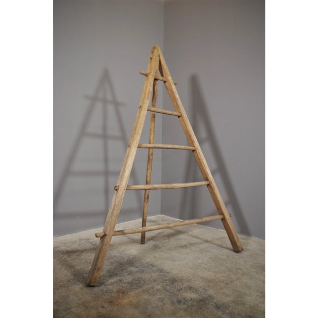 Fir & Beech Wood Ladder For Sale - Image 11 of 14