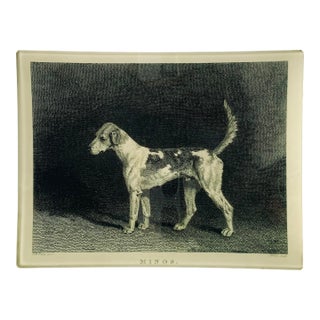 John Derian Decoupage Mimos Dog Tray For Sale