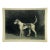 John Derian Decoupage Mimos Dog Tray For Sale