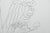 Lucio Fontana, The Heron, Lithograph For Sale - Image 5 of 7