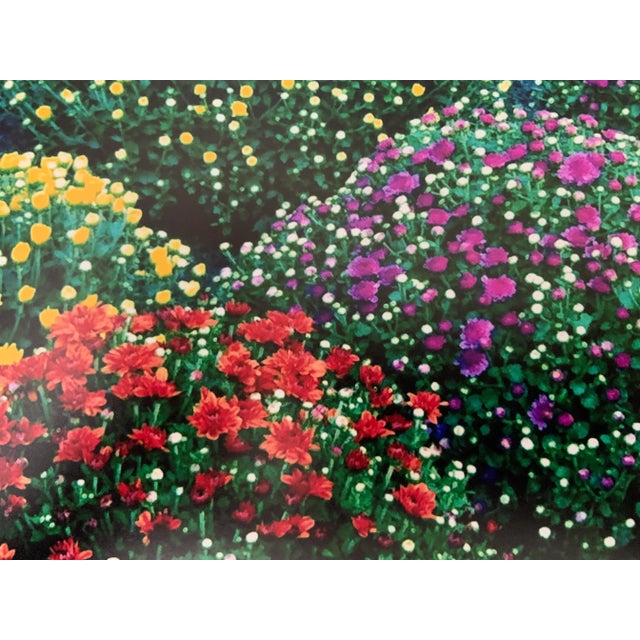 1990s "Chrysanthemums, Park Avenue, New York" Contemporary Plein Air Photograph Print by Louise Weinberg For Sale - Image 5 of 6