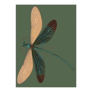Bugs by Seguy #26 For Sale