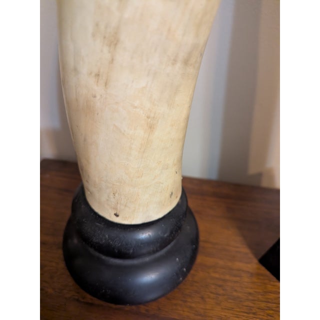 Vintage Mounted Longhorns W/ Wooden Mounts For Sale In Chicago - Image 6 of 10