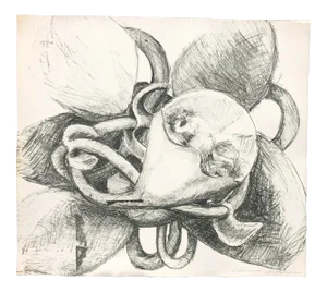 1970s Adrienne Anderson Botanical Female Nude