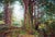 When the World Was New by Thane Gorek | Gouache and oil on canvas Forest scene with trees and foliage For Sale