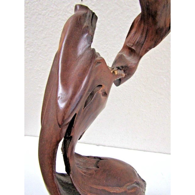 1970s Costa Rican Henry Villalobos Cypress Wood Abstract Sculpture Titled Ceremony For Sale - Image 11 of 14