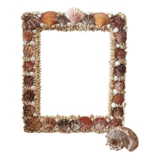 Lioness Shell Frame For Sale