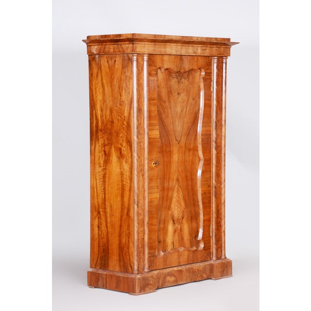 Wood Biedermeier Cabinet in Walnut Veneer, Austria, 1840s For Sale - Image 7 of 9