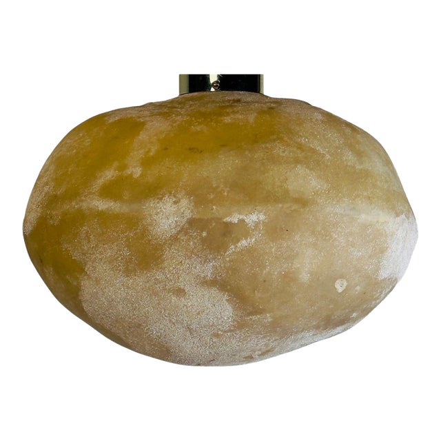 Large Vintage Resin Ceiling or Pendant Ligh For Sale