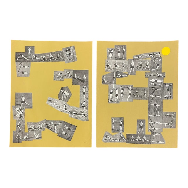 James Bone Grass Dances Diptych Collage For Sale