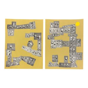 James Bone Grass Dances Diptych Collage