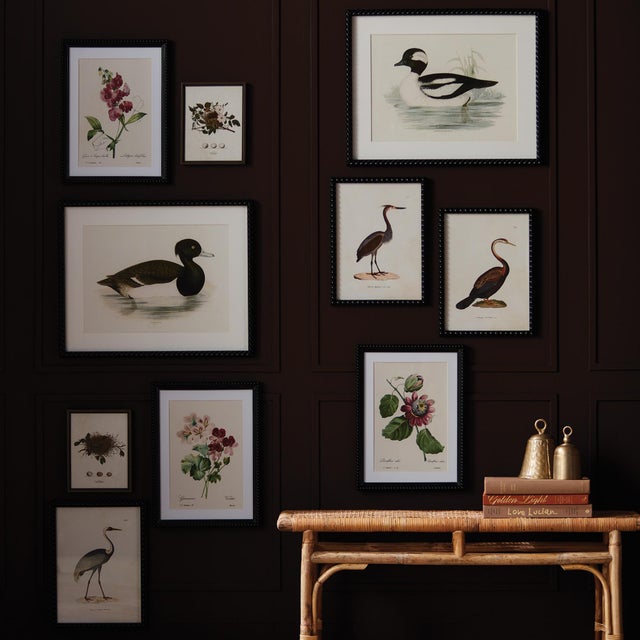 Contemporary Assorted Bird Nest Study St/6 For Sale - Image 3 of 3