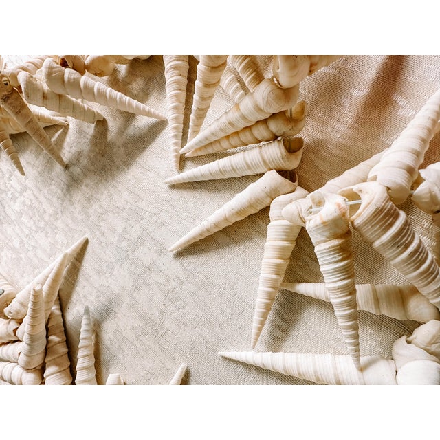 Contemporary Vintage Coastal Beach Seashells Holiday Christmas Garland or Table Decor For Sale - Image 3 of 11