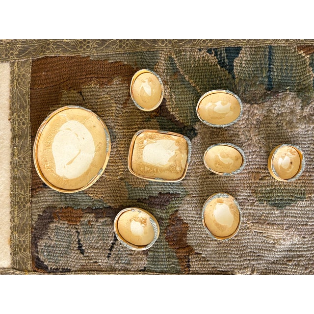 Antique Italian Grand Tour Plaster Intaglios - Set of 8 (Group #11) For Sale - Image 14 of 14