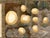 Antique Italian Grand Tour Plaster Intaglios - Set of 8 (Group #11) For Sale - Image 14 of 14