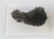 Metal Vintage African Cast-Bronze Sculpture of a Stylized Mythical Lion For Sale - Image 7 of 13