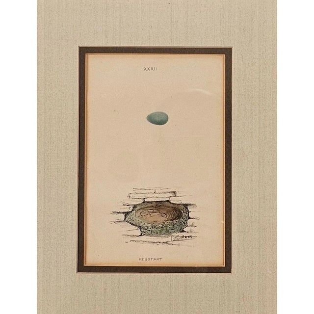 A print titled "Redstart" depicting nest and egg, England circa 1880.