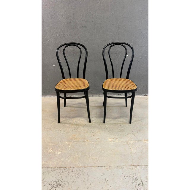 Bentwood Vienna Straw Seats, 1960s, Poland, Set of 2 For Sale - Image 6 of 12