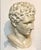 Head of Hermes. Plaster. Good condition. Beautiful patina.
