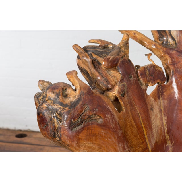 Vintage Chinese Hand Crafted Camphor Wood Root Chair with Light Varnish For Sale - Image 4 of 12