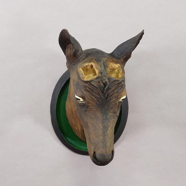 1900 - 1909 Large Naturalistic Black Forest Carved Ibex Head, Ca. 1900s For Sale - Image 5 of 9