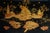 Mid 19th Century French 19th C. Exceptional Chinoiserie Lacquer Work Table For Sale - Image 5 of 14