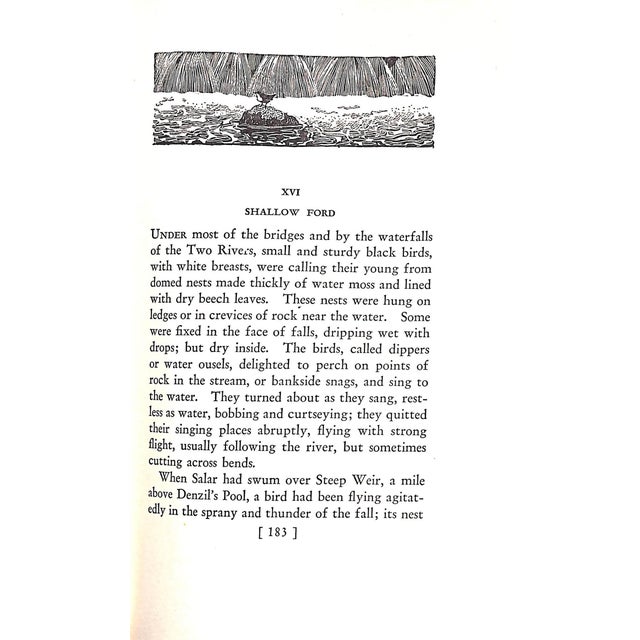 "Salar the Salmon" Book 1936 Williamson, Henry For Sale In New York - Image 6 of 10