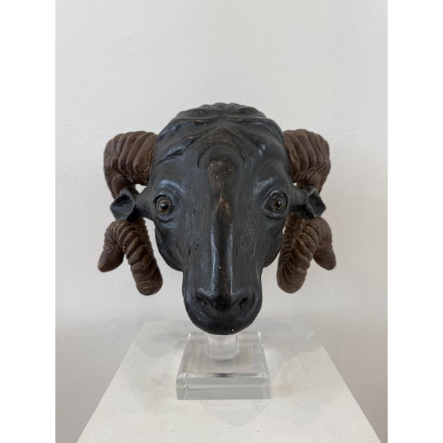 Northern European Artist, Ram's Head, 19th Century, Wood For Sale - Image 14 of 14