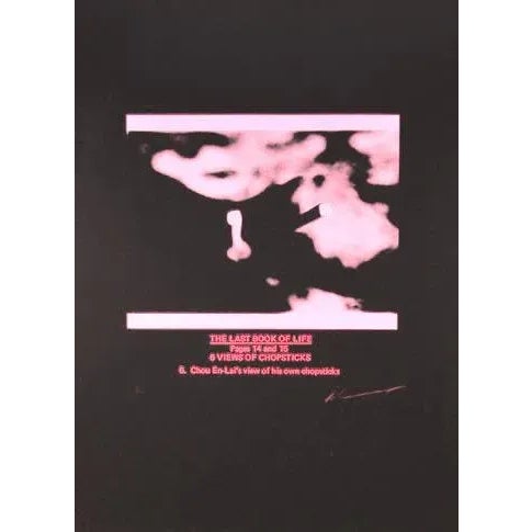 Contemporary The Last Book of Life VI, Les Levine Etching For Sale - Image 3 of 3