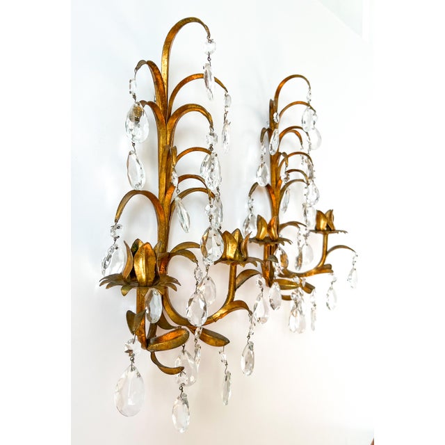 Striking pair of Italian gilt tole wall sconces with curling metal branches, floral candle cups, and an abundance of clear...