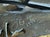 1970s 1970s Spectacular Brutalist Industrial Style Iron Menorah Candleabra Signed B W Geller For Sale - Image 5 of 6